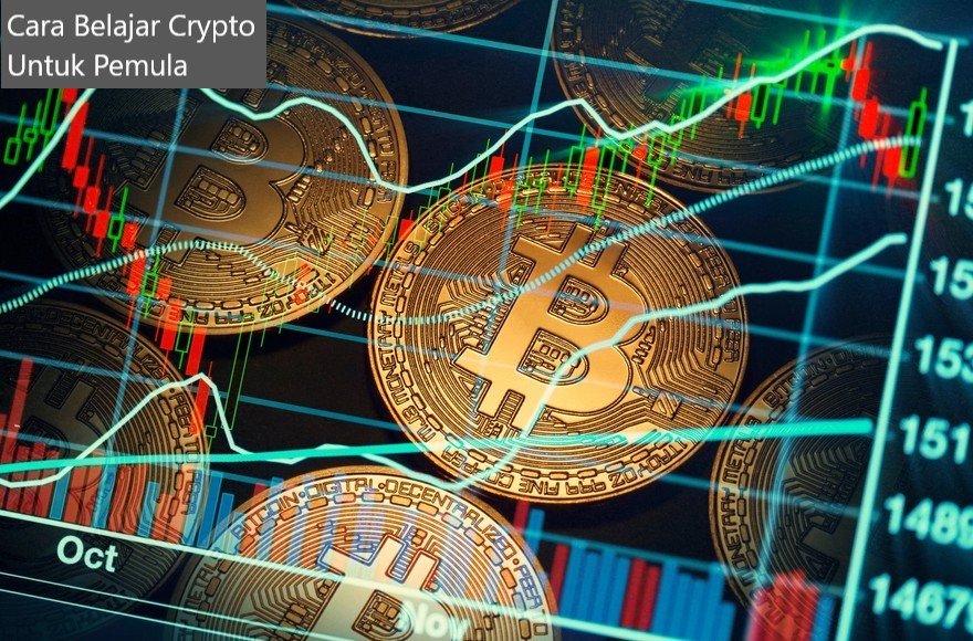 Begini Cara Belajar Crypto Untuk Pemula 2023